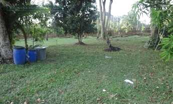 Imagem 5: Chácara com 4 dormitórios à venda, 5000 m² por RS 800.000,00 - Tarumã-Açu - Manaus-AM