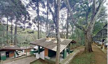 Imagem 4: Apartamento Club Campo Comprido