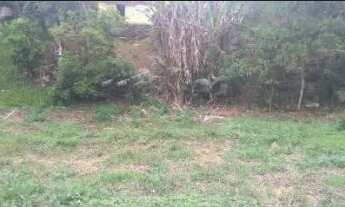 Imagem 2: Chácara em Tapiraí com rio no fundo e duas casas