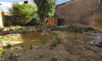 Imagem 7: Lote de 300m² Setor Tradicional Rua Aurélio Mundinho - Escriturado e Registrado