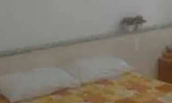 Imagem: COTA FIXA FEVEREIRO CABO FRIO - PRINCESA