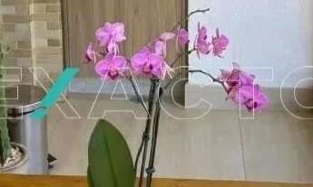 Imagem 3: Apartamento - Parque Rural Fazenda Santa Cândida - Campinas