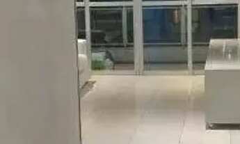 Imagem 5: Apartamento 3 Quartos 100 m² à Venda no Setor Pedro Ludovico Goiânia GO