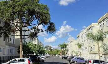 Imagem 6: Apartamento Padrão para Alugar no Residencial Monsenhor Romeu Tortorelli, São Carlos