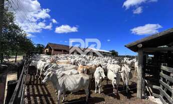 Imagem 4: Fazenda Perobas 52 Alqueires Araruama (RJ
