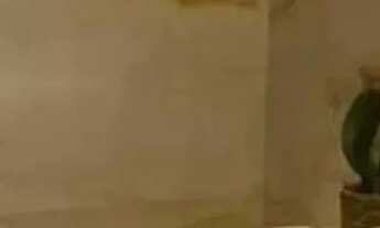 Imagem 7: Apartamento para venda no condomínio Monte Olimpo