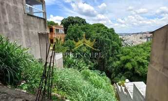 Imagem 4: Terreno à Venda Vila Capelletto