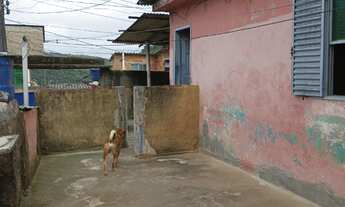 Imagem 7: Casa geminada Casa com 3 dormitórios