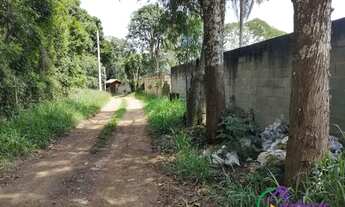 Imagem 7: TERRENO - BAIRRO DO TIJUCO PRETO - SP