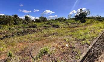 Imagem 7: Terreno em Manacapura /Beira de Pista Estrada 10Hec