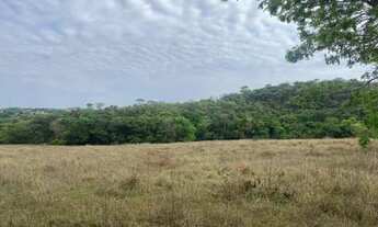 Imagem 5: Chácara de 20.000 m² toda cercada, com riacho nos fundos, Jaboticatubas