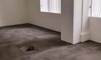 Imagem 5: CONJ. COMERCIAL - BROOKLIN - SP