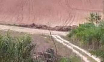 Imagem 5: ? SÍTIO EXCLUSIVO 6 HECTARES - 100M BR 262 | CASA + FIBRA ÓTICA