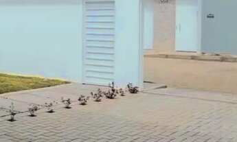 Imagem 4: Casa recém-construída no Lot Arco Íris