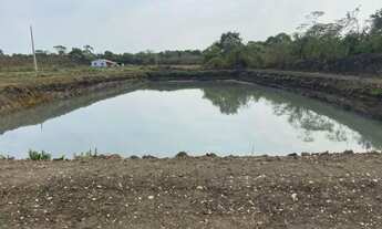 Imagem 4: CHÁCARA EM GOIANIRA