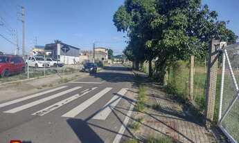 Imagem 7: Excelente terreno, próximo ao trevo de Vargem Grande com 240.000,00m²