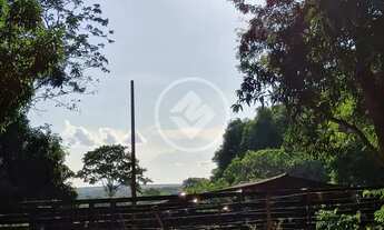 Imagem: Sitio com otima oportunidade de produtividade