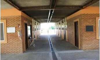 Imagem 2: Fazenda em São Pedro