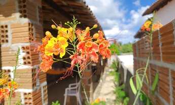 Imagem 4: Carnaval em Maxaranguape