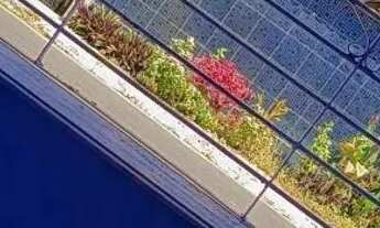 Imagem 2: Casa grande no Tapanã