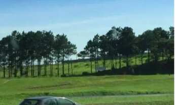 Imagem: Área para venda e locação/ 10.900 m²/