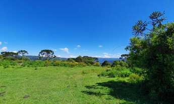 Imagem 2: Sitio em Urubici