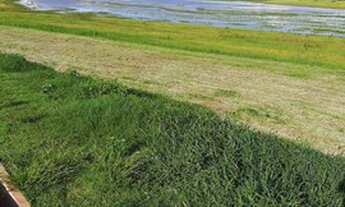 Imagem 5: Terrenos á Venda Parcelados #Guaraci SP Di Capri