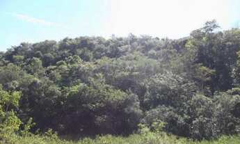 Imagem 3: Fazenda sem sede de 82ha,nascente e córrego nos fundos,Jaboticatubas(Temos varias opções)