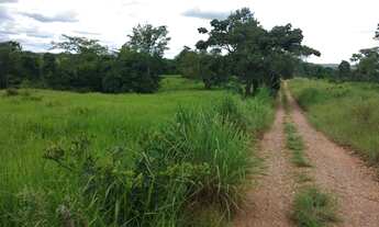Imagem 3: 117 alqueires em Goias Velho-Go