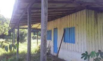 Imagem 7: Vendo Sítio AM 010-km84 Ramal da Embrapa KM13