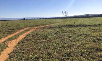 Imagem 5: Fazenda de 280 alqueires