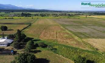Imagem 3: Fazenda/Sítio/Chácara para venda possui 20000 metros quadrados