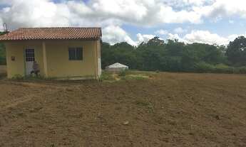 Imagem: Chácara / sítio pra vender logo vendo