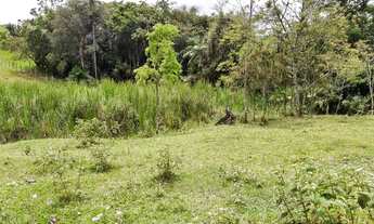 Imagem 5: Lindo terreno para sítio com água corrente de nascente, em ótima localização!