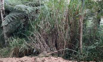 Imagem 5: Venda de terreno em Mairiporã (750 m2