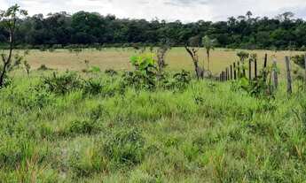 Imagem 7: FAZENDA PARA PECUÁRIA E LAVOURA