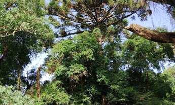 Imagem 4: Chácara 20mil MTS