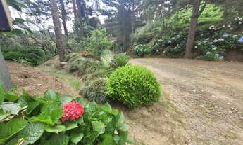 Imagem 5: Chácara com 44783 m² em São Bento do Sul - SC