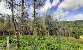 Imagem 3: LOTES ENTRE MULUNGU E GUARAMIRANGA