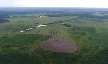 Imagem 4: Fazenda à venda, Setor Central - Duerê/TO