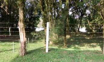 Imagem 4: Lote na margem do rio Iguaçu