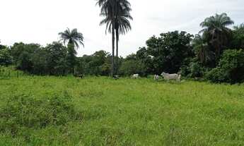 Imagem 5: Saida Pirapora...Fazendinha 15 Alqueires 700.000.00