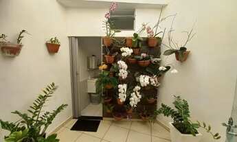 Imagem: Casa Nova Franca