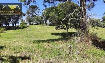 Imagem 3: Chácara com 3 dormitórios à venda, 78000 m² por R$ 495.000,00 - Centro - Juquitiba/SP