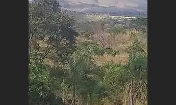 Imagem 3: Vendo uma chácara na taboquinha município de Padre Bernardo Goiás