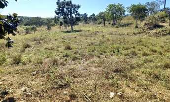 Imagem 4: Chácara em Aurilândia