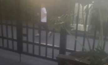 Imagem 6: Apartamento Apartamento com 2 dormitórios