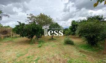 Imagem 4: VENDA - COMPRA Localização Rural / Chácara em São José do Rio Preto com 2 dormitórios próx