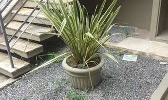 Imagem 5: São Paulo - Casa Padrão - Parque São Domingos