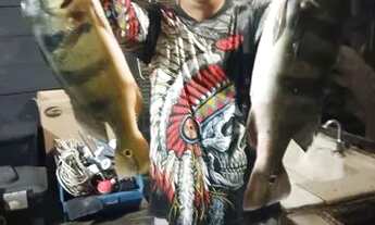 Imagem 7: Rancho/Casa de Madeira muito top na Serra da Mesa